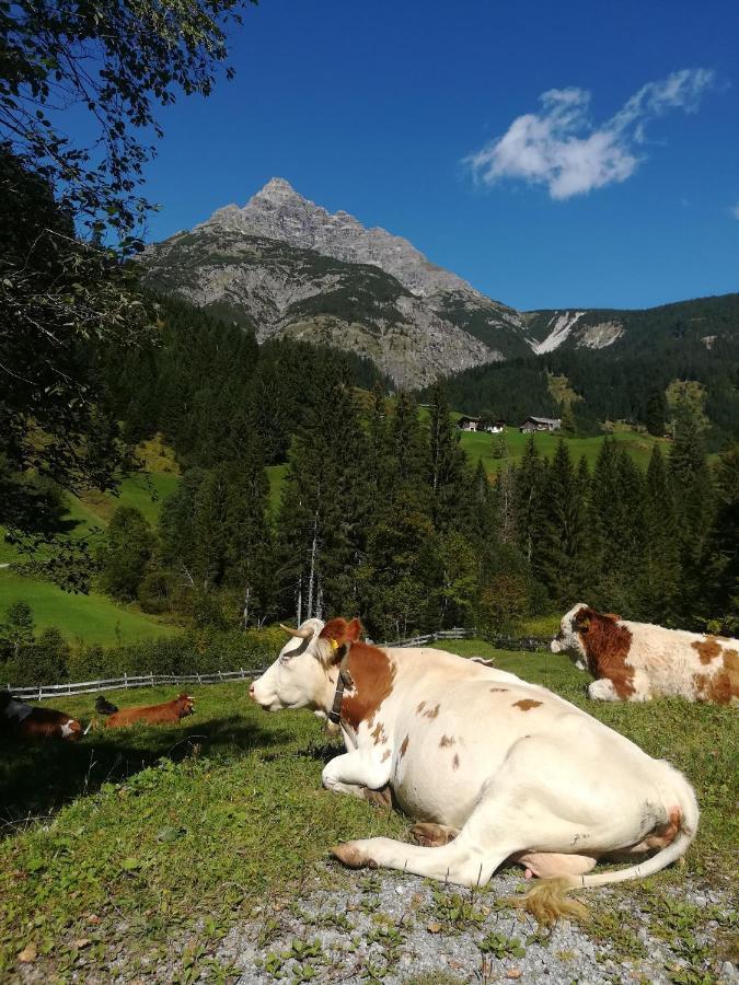Apart-Alpin Stanzach Eksteriør bilde